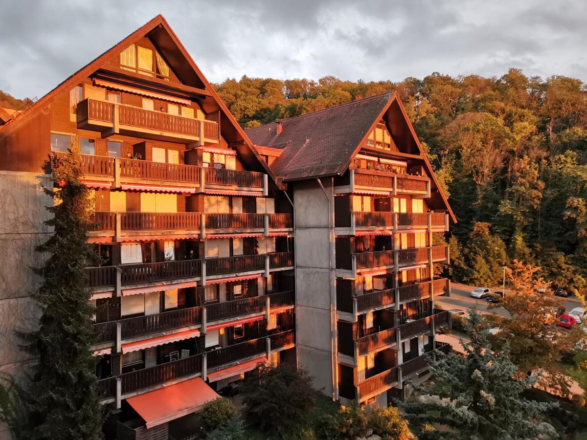 Gaishoell-Wasserfaelle Apartment Schwarzwald Sasbachwalden Dış mekan fotoğraf