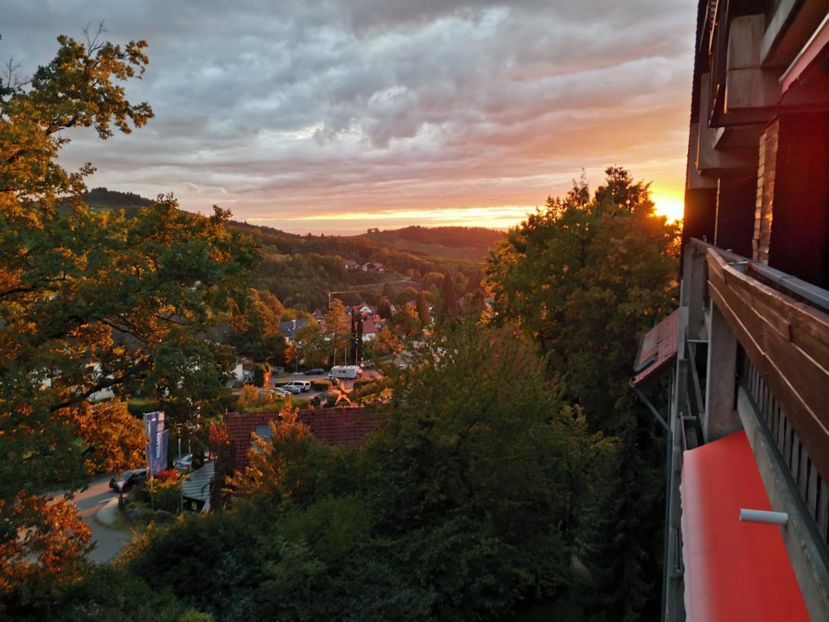 Gaishoell-Wasserfaelle Apartment Schwarzwald Sasbachwalden Dış mekan fotoğraf