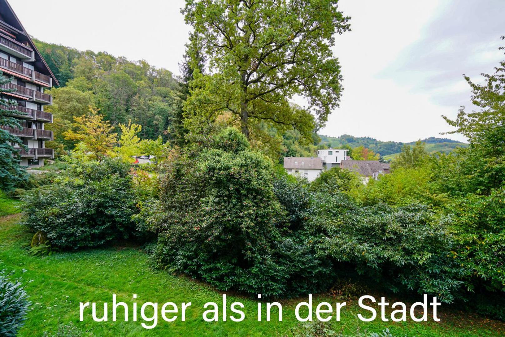 Gaishoell-Wasserfaelle Apartment Schwarzwald Sasbachwalden Dış mekan fotoğraf